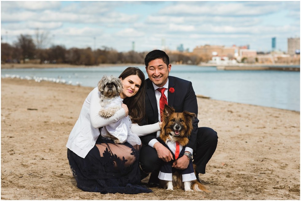 couple crouching on beach with one dog dressed in a matching suit and the other dog wearing a white dress Toronto proposal photography Gillian Foster
