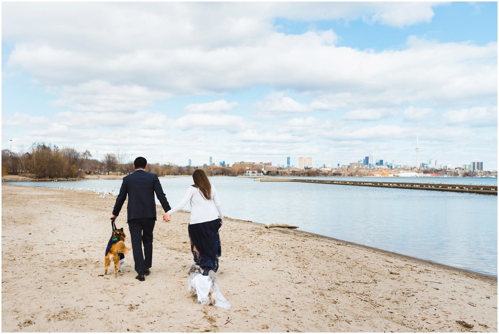 engaged couple holding hands and walking their two dogs down a beach with Toronto skyline in background proposal photography