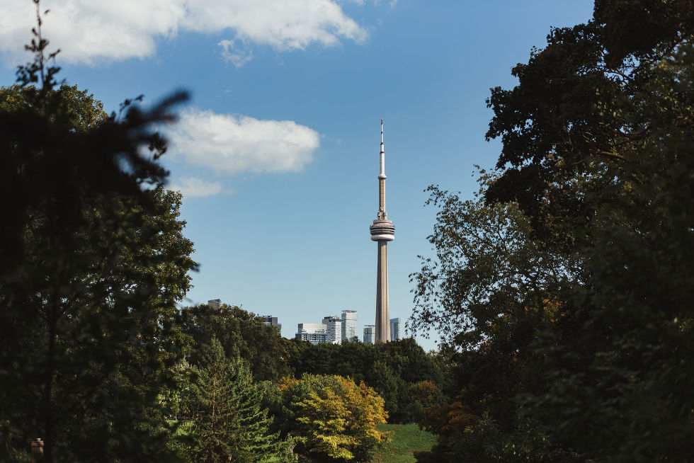 view of the CN tower surrounded by trees from Trinity Bellwoods Park 