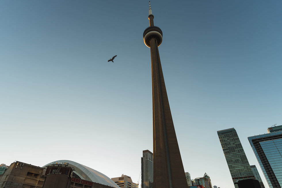 view of CN Tower, Roger