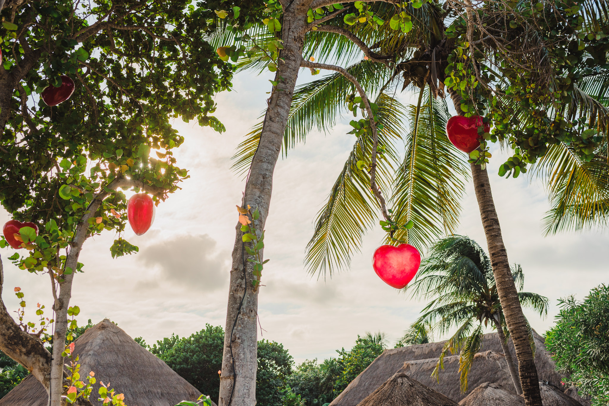 red heart decorations hanging from palm trees for Mexico destination wedding Now Sapphire Resort