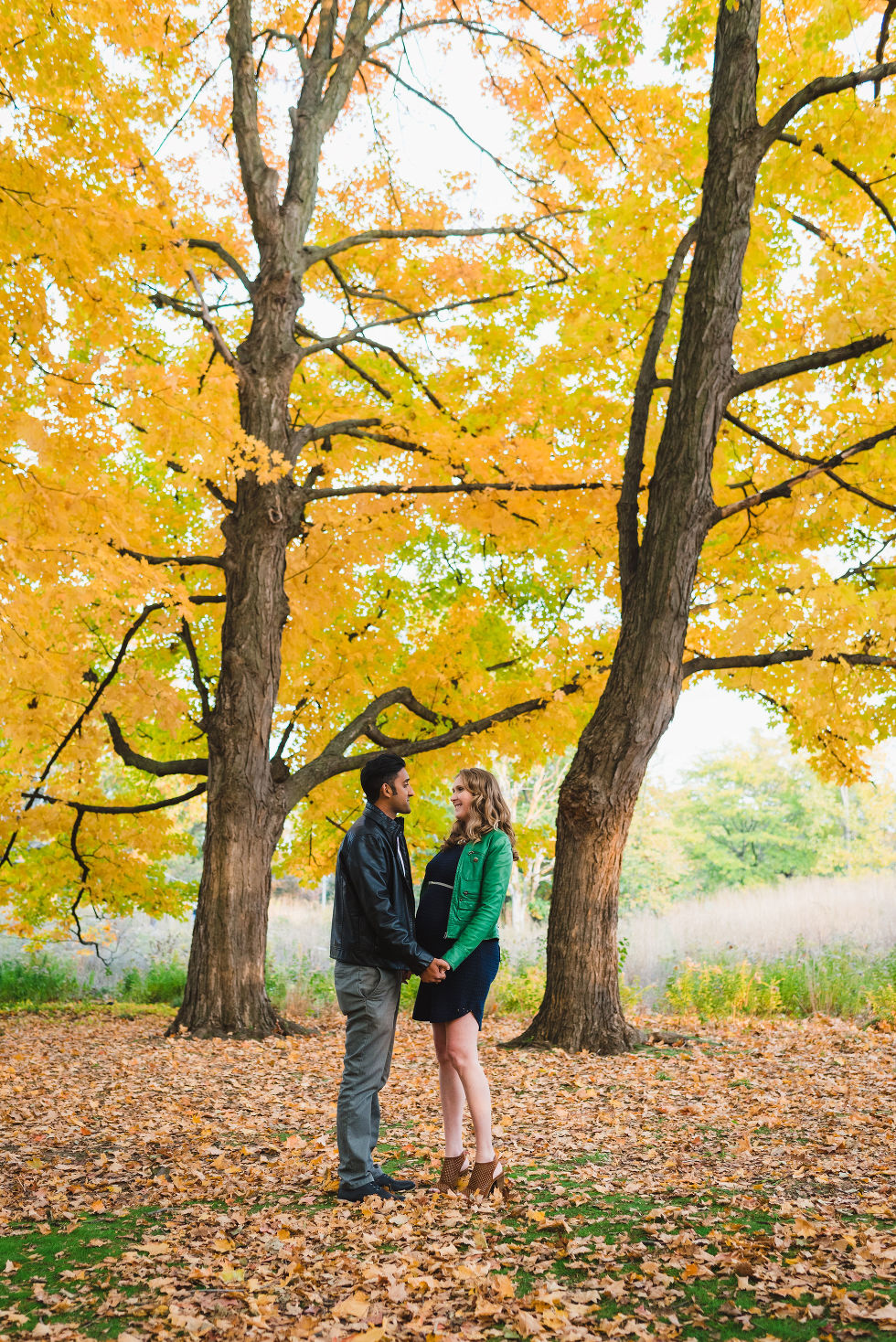 pregnant couple standing before a yellow tree during autumn in High Park, Toronto