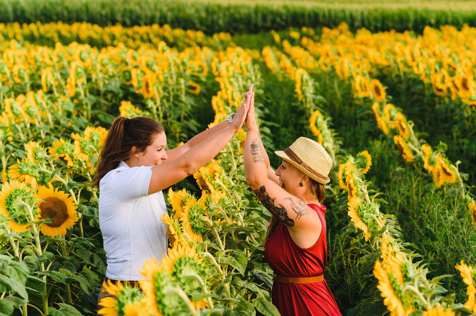 Engaged couple giving each other a high five in a stunning sunflower field Toronto engagement photos