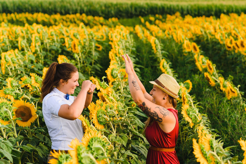 Engaged couple about to give each other a high five in a stunning sunflower field Toronto engagement photos