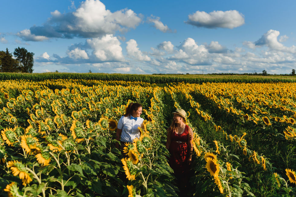 engaged couple strolling through a stunning sunflower field 