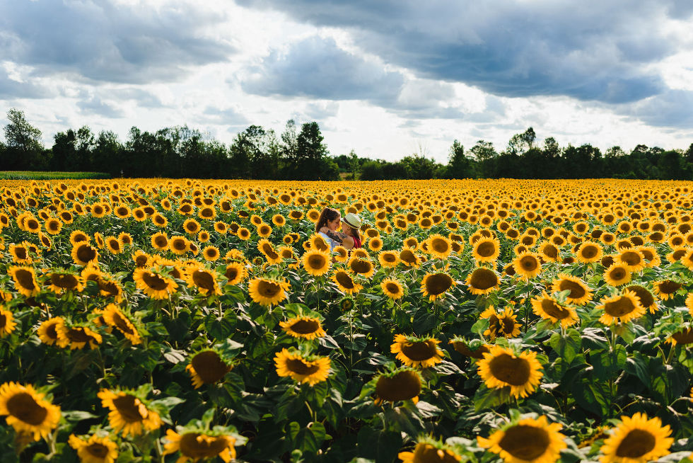 2 women in a loving embrace while standing in stunning sea of sunflowers Toronto engagement photos